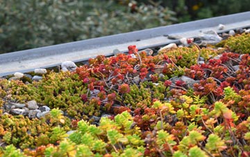 the cost of Wilsthorpe green roof installation