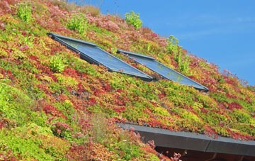 Wilsthorpe living roof systems